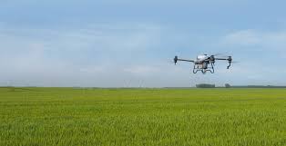 Revolutionising Agriculture: Exploring the DJI Agriculture Spraying Drone in Auburn