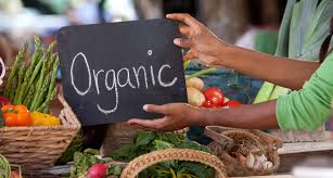 How Biodynamic Products Contribute to Sustainable Living