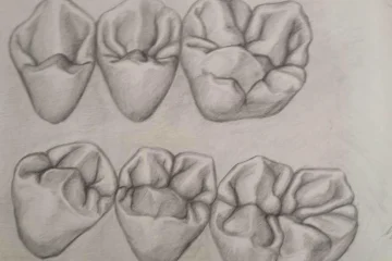 Mollar CGT20750 Drawing