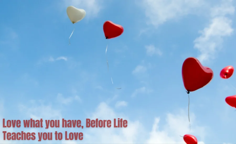 Love what you have, before life teaches you to love - tymoff