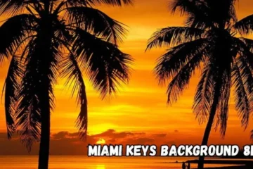 Miami keys background 8k