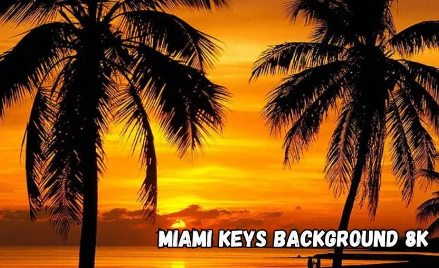 Miami keys background 8k