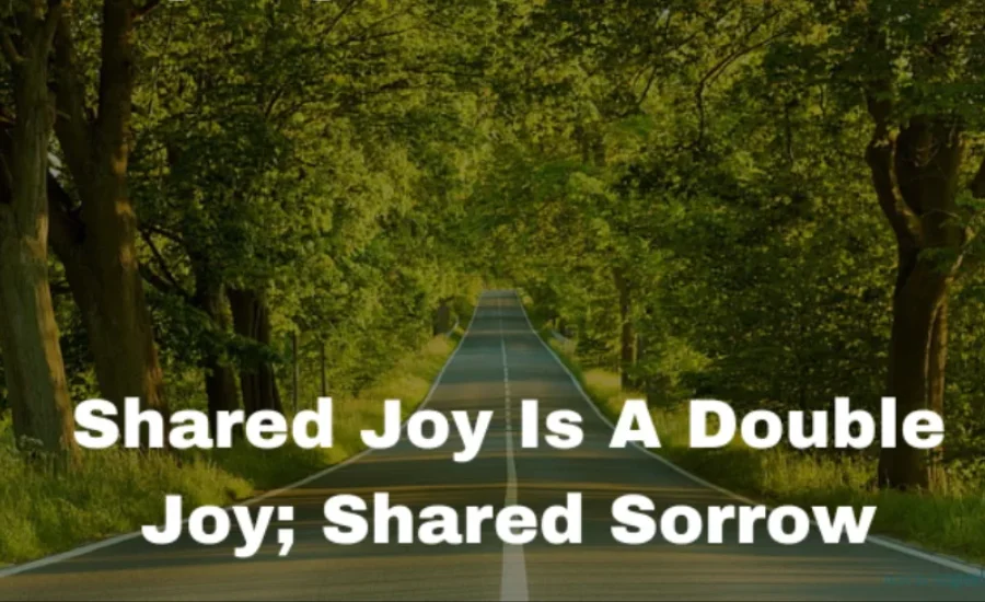 Shared joy is a double joy; shared sorrow is tymoff