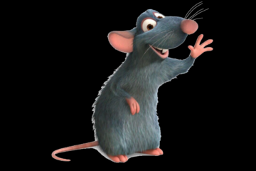 remy:vuvr2yhzv9m= ratatouille