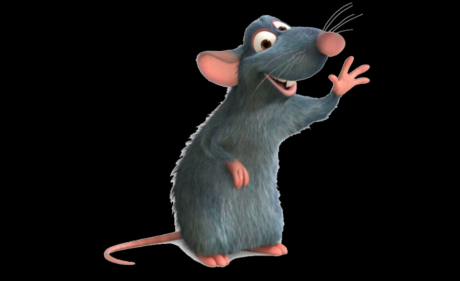 remy:vuvr2yhzv9m= ratatouille