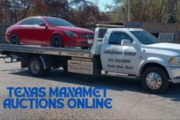 texas maxamet auctions online